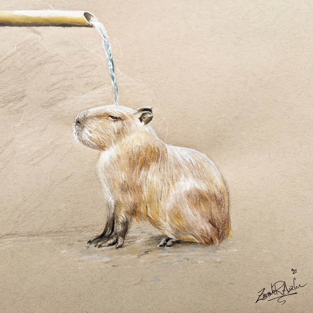 Capybara